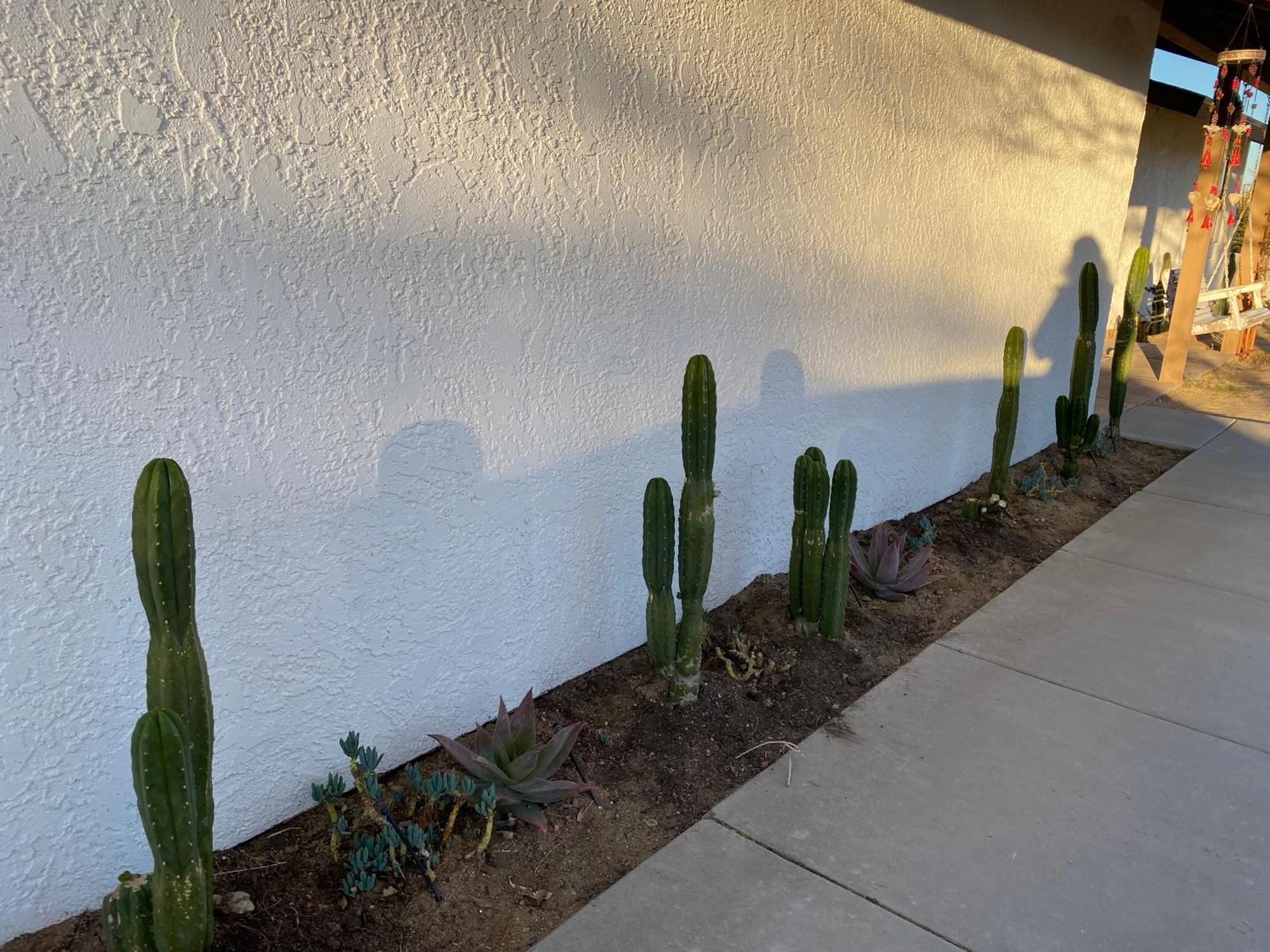 Willa Electroliquid'S Casa Pueblo Joshua Tree Zewnętrze zdjęcie